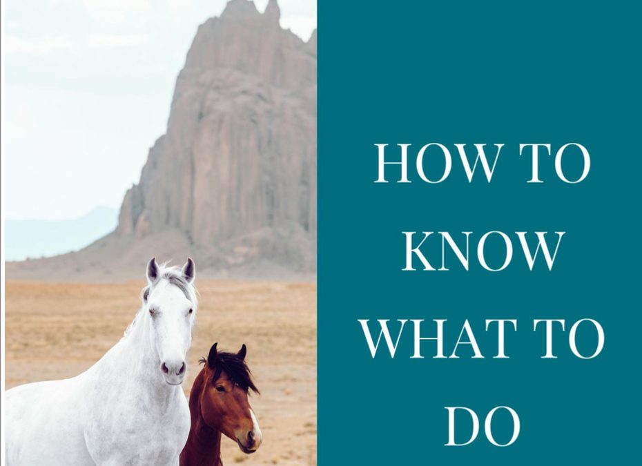 How to Know What to Do?